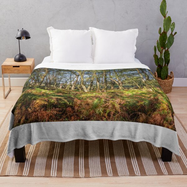 Item preview, Autumn Ferns in the Woods designed and sold by Jim Key.