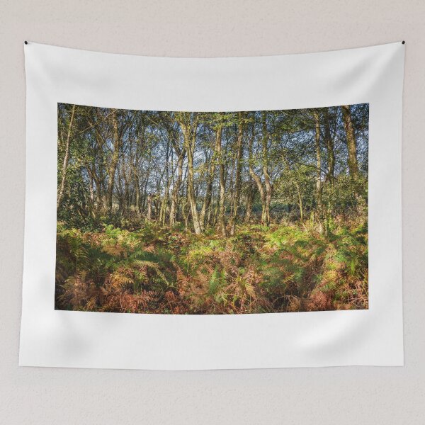 Item preview, Autumn Ferns in the Woods designed and sold by Jim Key.