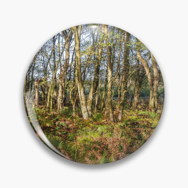 Item preview, Autumn Ferns in the Woods designed and sold by Jim Key.