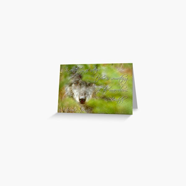 Something of the Marvelous Greeting Card