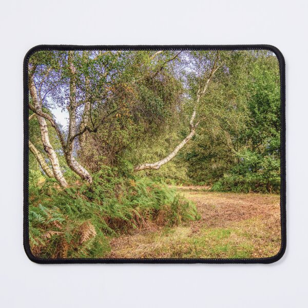 Item preview, Silver Birch in the Clearing designed and sold by Jim Key.