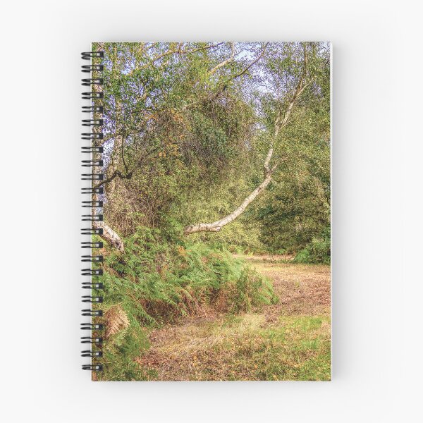 Item preview, Silver Birch in the Clearing designed and sold by Jim Key.