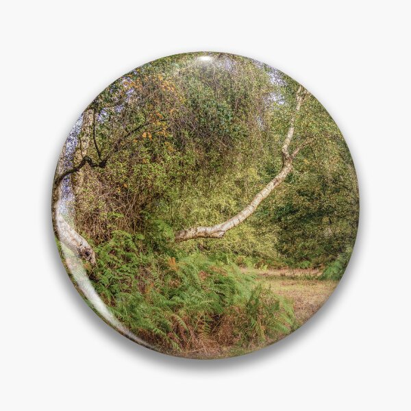 Item preview, Silver Birch in the Clearing designed and sold by Jim Key.