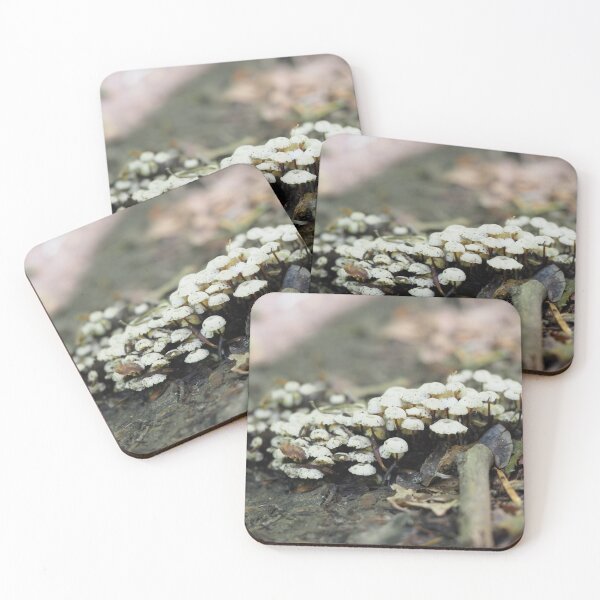 Item preview, Carpet of little white mushrooms designed and sold by Syr'photographies.