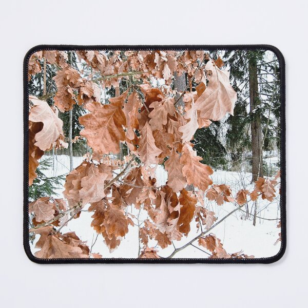 Item preview, Frozen autumn leaves in winter designed and sold by bluerosesart37.