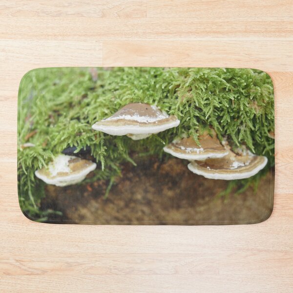 Item preview, White and brown mushrooms growing on mossy trunk designed and sold by Syr'photographies.