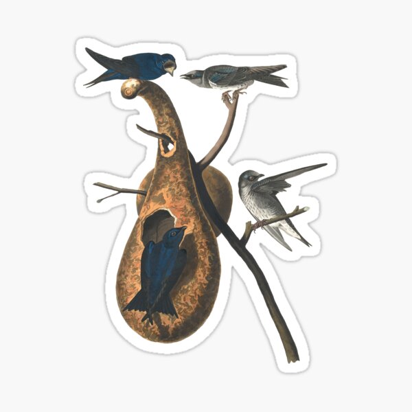 Item preview, Purple Martin Birds Chromolithograph Vintage Audubon Havell Sweet Pretty Happy Birdwatching Gift designed and sold by ElegantTeaTime.