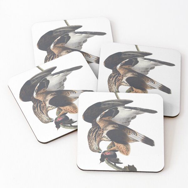 Item preview, Rough Legged Falcon Birds by Audubon and Havell Vintage Chromolithograph Birdwatching Gift designed and sold by ElegantTeaTime.