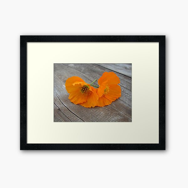 Framed Print