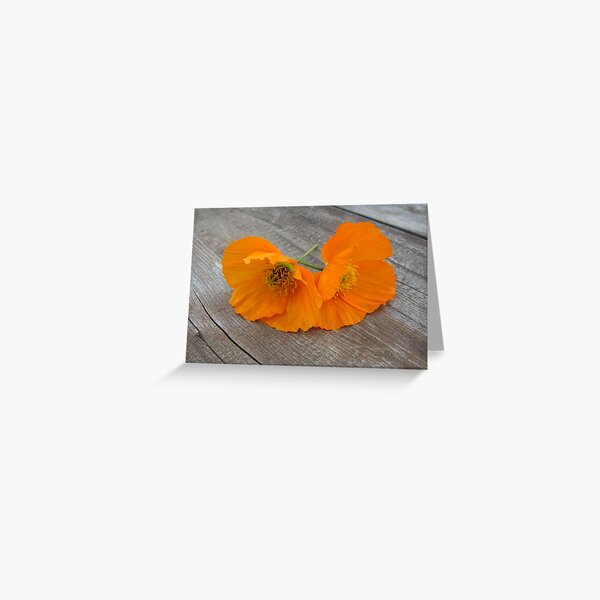 Greeting Card