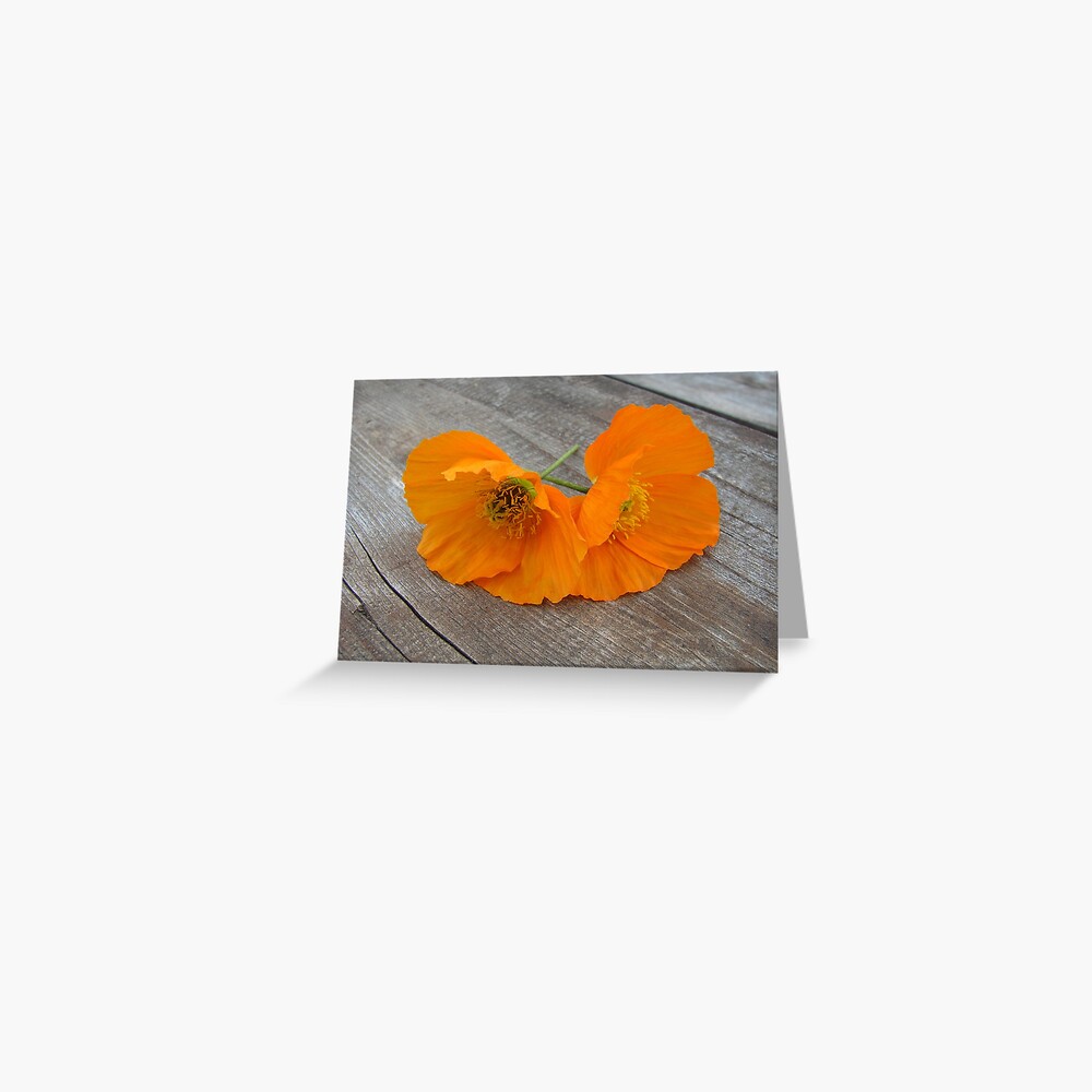 Orange flowers on a wooden table Greeting Card