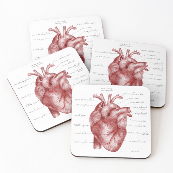 Item preview, Vintage Heart Anatomy designed and sold by emm416.