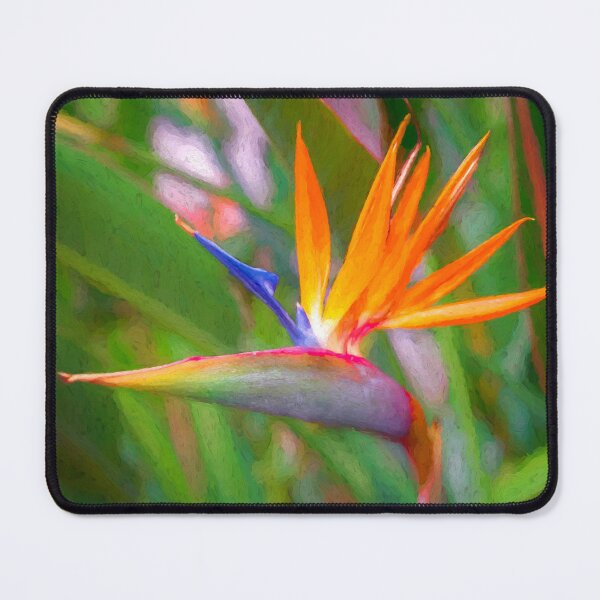 Item preview, Bird of Paradise designed and sold by Susan Rydberg.