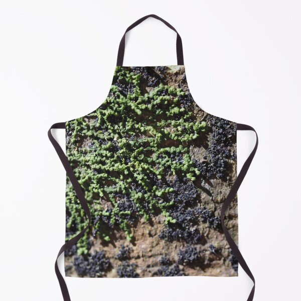 Item preview, Green and black lichen designed and sold by Syr'photographies.