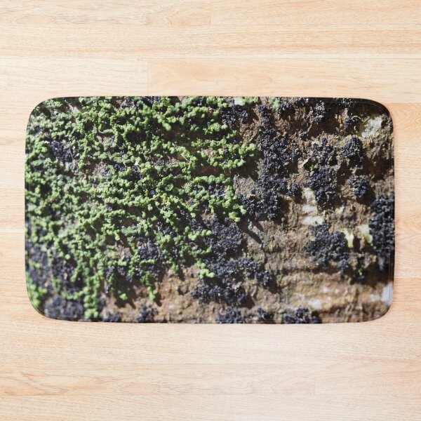 Item preview, Green and black lichen designed and sold by Syr'photographies.