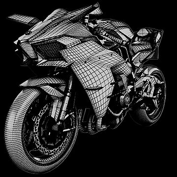 R-Racer Windscreen for Kawasaki Ninja ZX-10R - Puig – Bikenbiker
