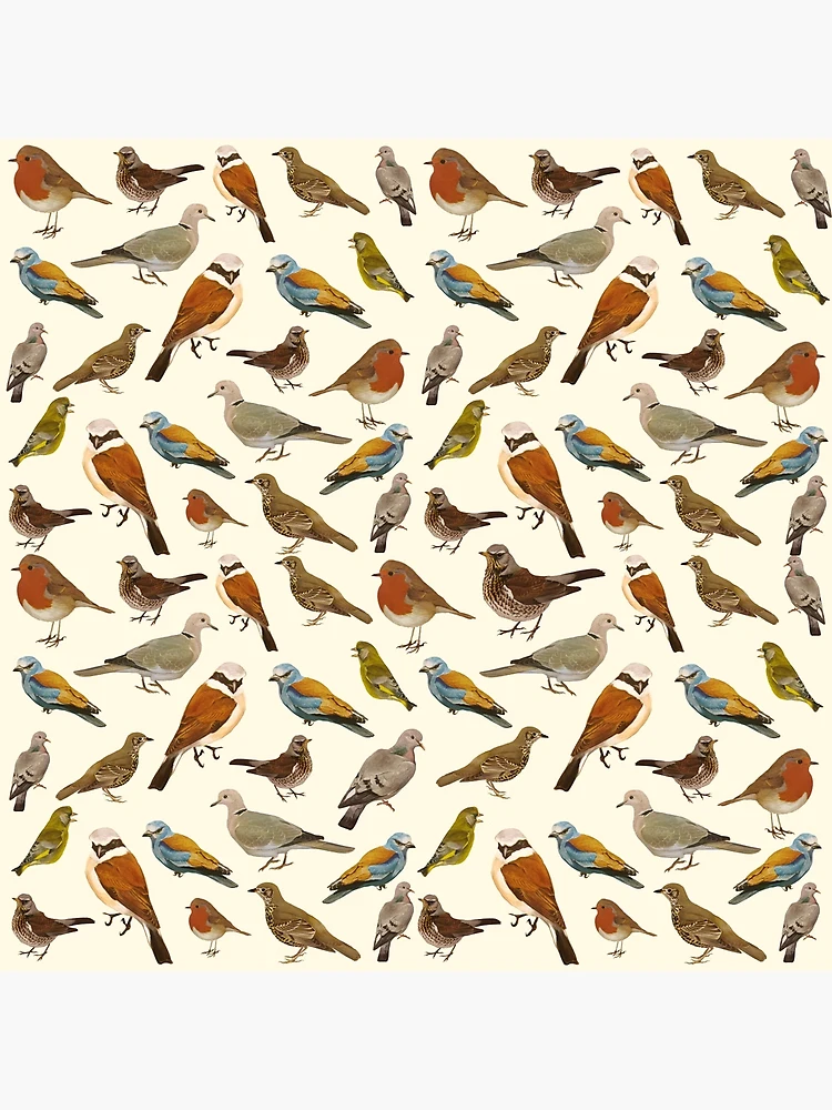 Thumbnail 3 of 3, Poster, Birds Pattern designed and sold by franciscomff.