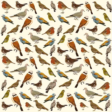 Artwork thumbnail, Birds Pattern by franciscomff