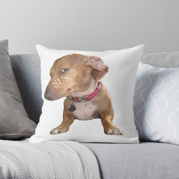 https://ih1.redbubble.net/image.5290636667.6230/throwpillow,small,600x-bg,f8f8f8-c,0,120,600,600.u5.jpg