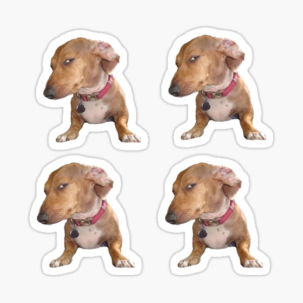 Sus Dog Meme Stickers for Sale