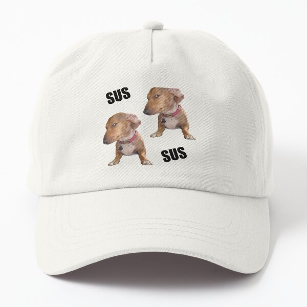 Not a meme, just a dog wearing a hat - Meme by Srsly_Sucks2