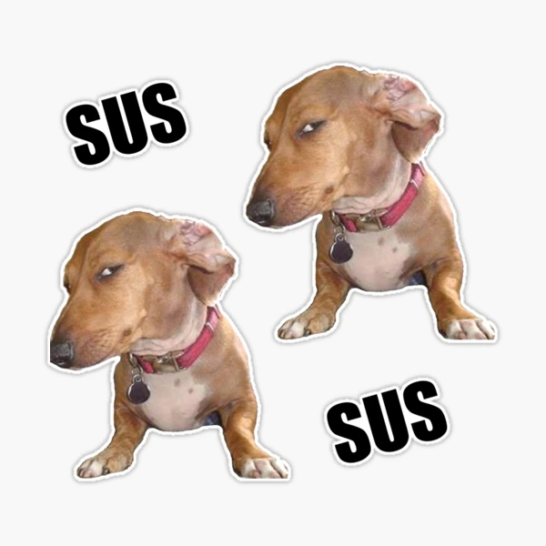 Sus dog meme Sticker for Sale by TheBigSadShop