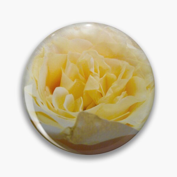 Item preview, Beautiful yellow rose designed and sold by Shulie1.