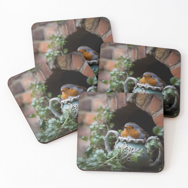 Item preview, Robin Nesting In A Cup designed and sold by CustomCoolStuff.