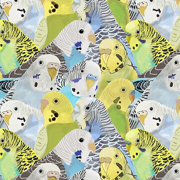 Artwork thumbnail, Budgie Parakeets by Amy Hadden