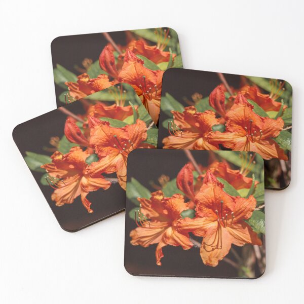 Item preview, Azalea in bloom designed and sold by Martin Fenton.