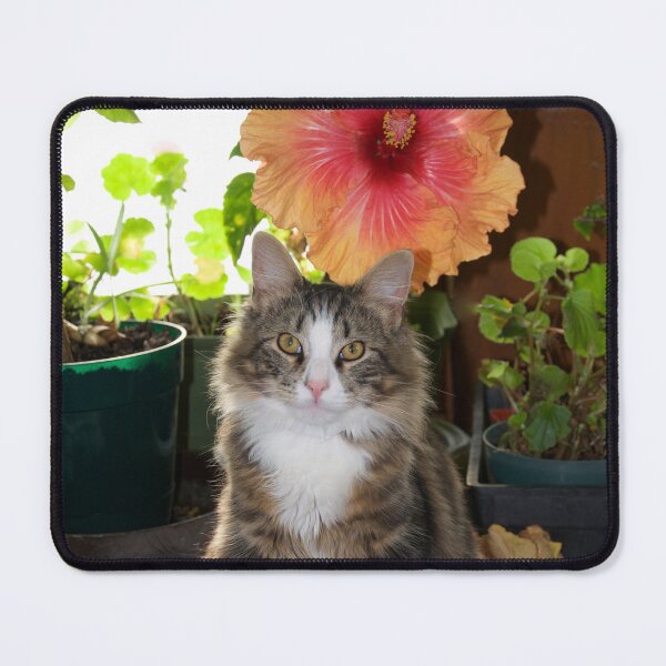 Item preview, The Boss designed and sold by Carolyn Clark.