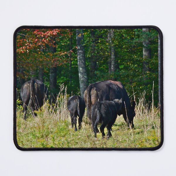 Item preview, Cows 3 designed and sold by Carolyn Clark.