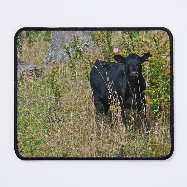 Item preview, Cows 4 designed and sold by Carolyn Clark.