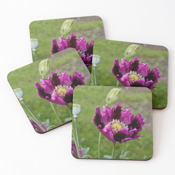 Item preview, The Purple Poppy of Remembrance designed and sold by Violaman.
