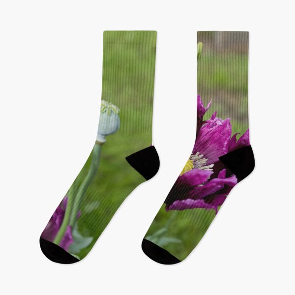 Item preview, The Purple Poppy of Remembrance designed and sold by Violaman.