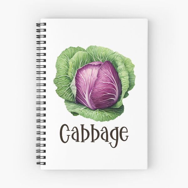 Item preview, Cabbage Illustration designed and sold by Sketch-Shack.