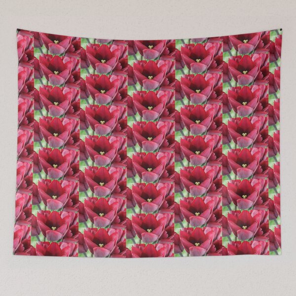 Item preview, Tulipa  'Ronaldo'  Triumph Group  Tulip  designed and sold by Chris Burrows.