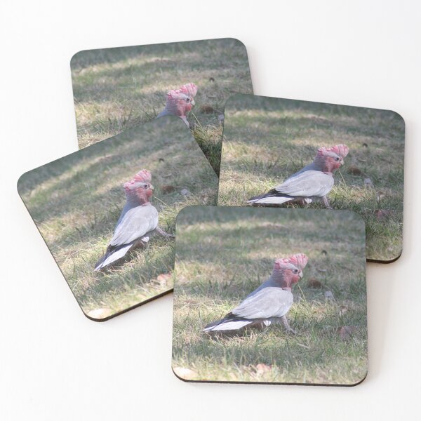 Item preview, Galah with crest raised designed and sold by irened71.