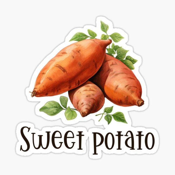 Item preview, Sweet potato Illustration designed and sold by Sketch-Shack.