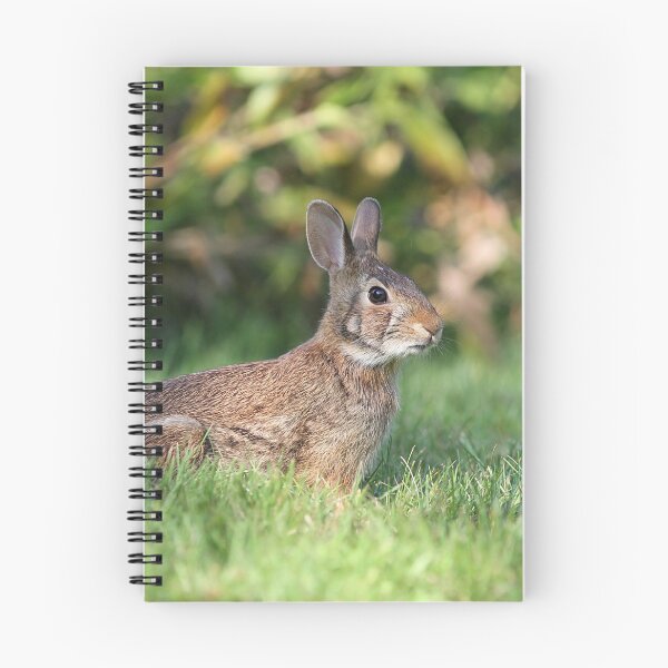 Item preview, Eastern Cottontail Rabbit on alert designed and sold by Linda Crockett.