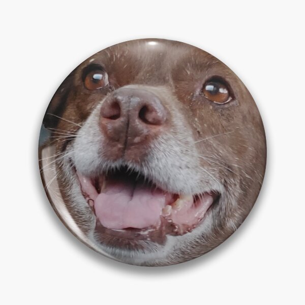 Item preview, One Happy Dog Sophia designed and sold by Highland Light & Island Mist.