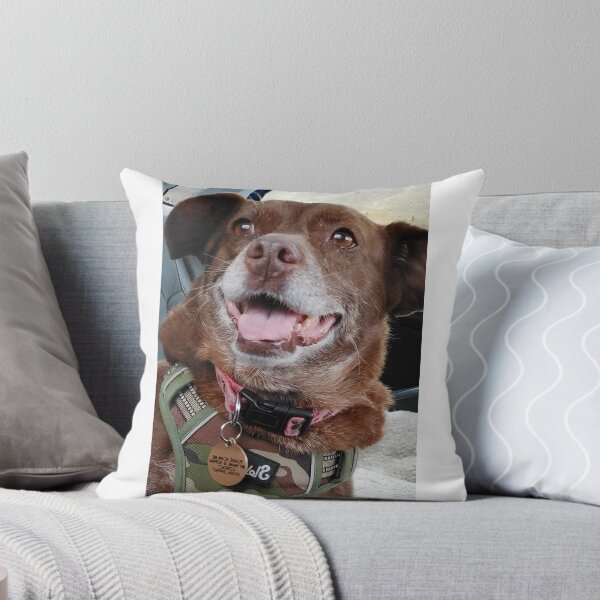 Item preview, One Happy Dog Sophia designed and sold by Highland Light & Island Mist.