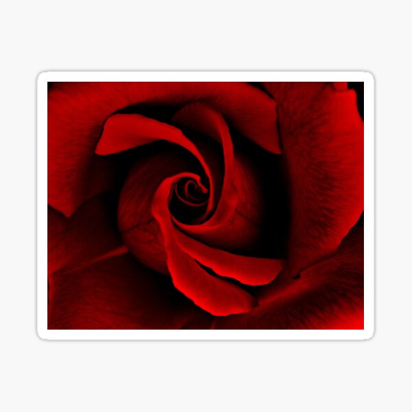 Item preview, Red Rose designed and sold by WildeDesire.