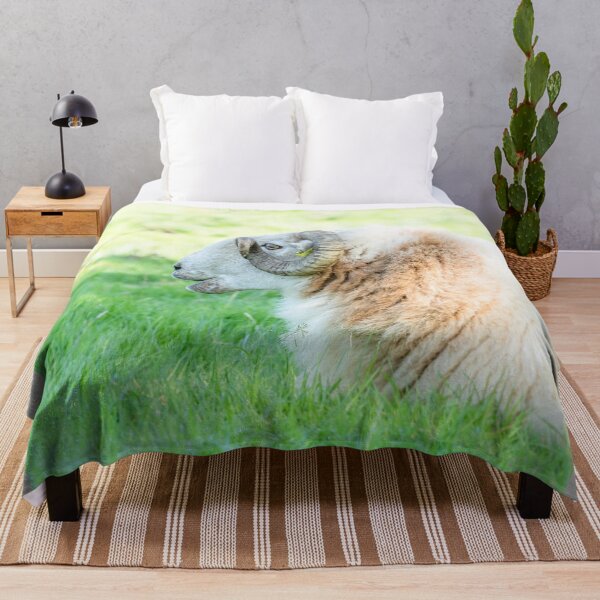 Item preview, Welsh Mountain Ram designed and sold by Jane Stanley Photography.