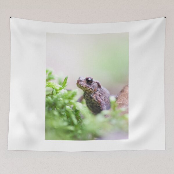 Item preview, Little toad designed and sold by Margriet Photography .