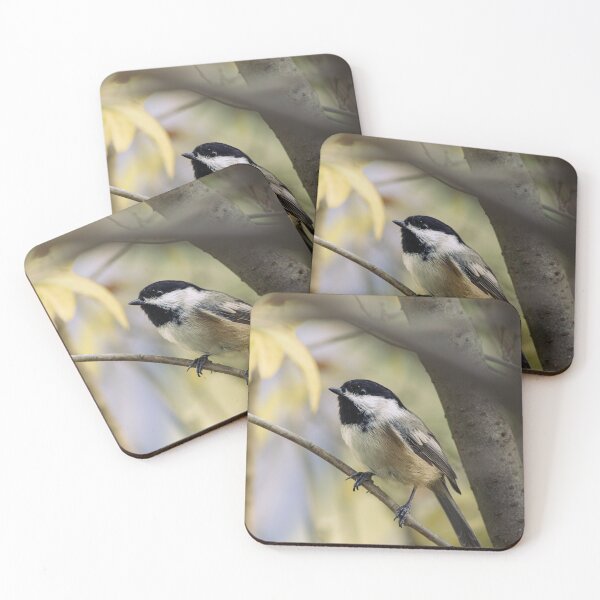 Item preview, Black-capped Chickadee designed and sold by FeatherFocused.
