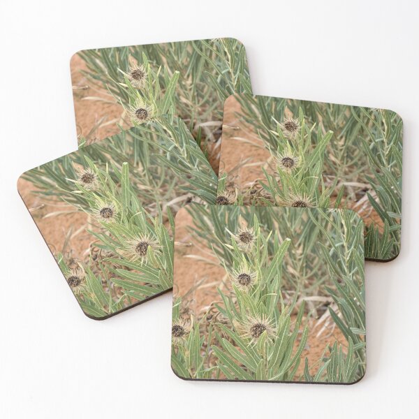 Item preview, Pokey Flowers designed and sold by TinyDinoDesigns.