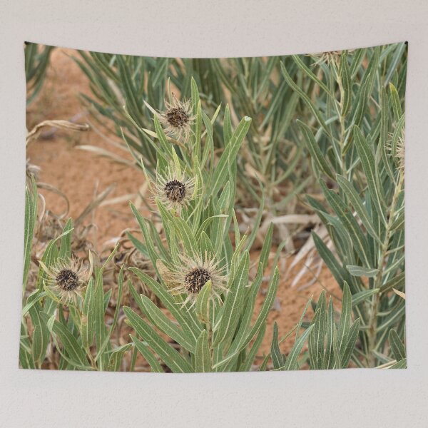 Item preview, Pokey Flowers designed and sold by TinyDinoDesigns.