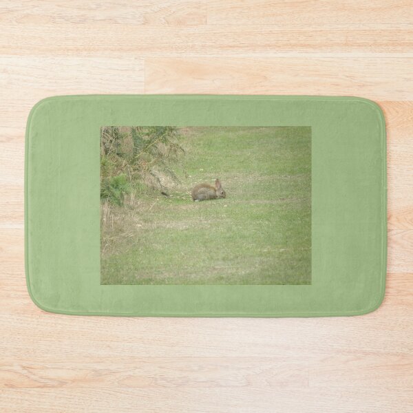 Item preview, Cute Rabbit in a Field Photograph designed and sold by naturegallery.