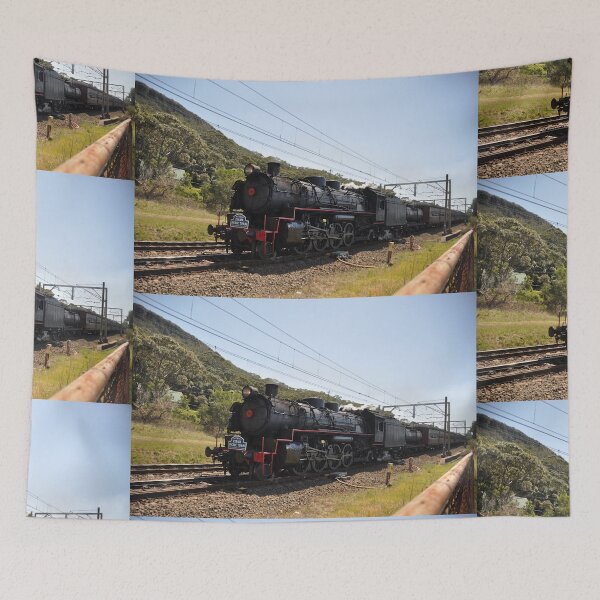 Item preview, 20231014 Scarborough, NSW - The Kiama Picnic Train designed and sold by muz2142.